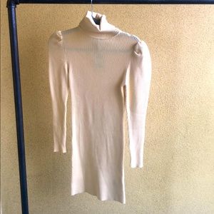 Skinny dress turtle neck